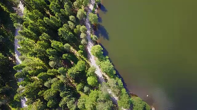 飞越挪威森林视频下载