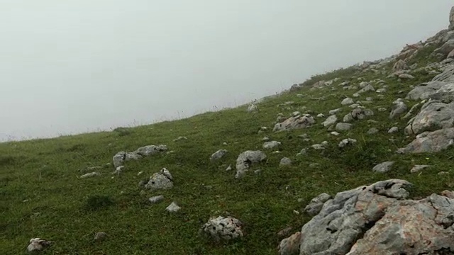 高山上的大雾天，摄像机镜头，没有人视频素材