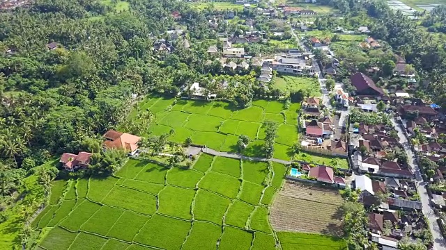 航拍稻田绿草景观背景。农民在雨季种植水稻。视频素材