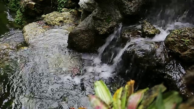 花园小瀑布视频素材