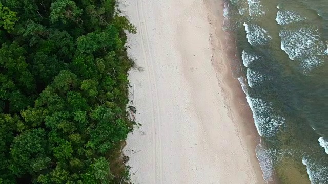 沙滩、海浪、森林鸟瞰图。视频下载