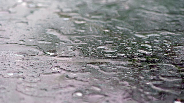 大雨伴着阵风视频素材