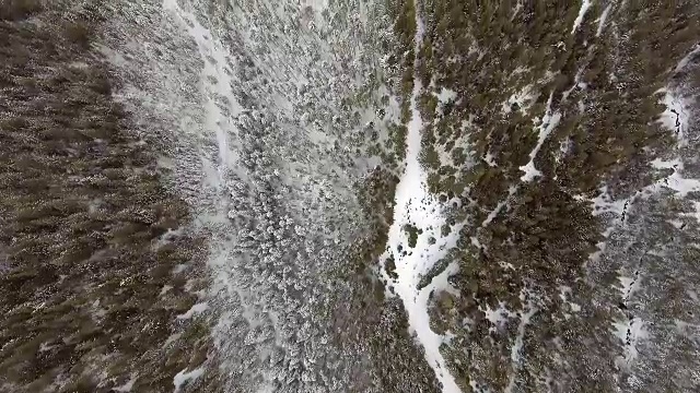 飞越北部冬季森林上空，鸟瞰图。视频素材