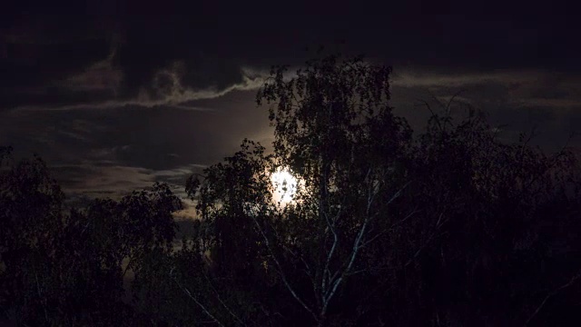 满月在夜空中穿过乌云和树木。时间流逝视频素材