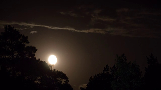 满月在夜空中穿过乌云和树木。时间流逝视频素材