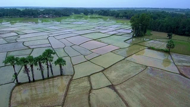 农业用地鸟瞰图视频下载