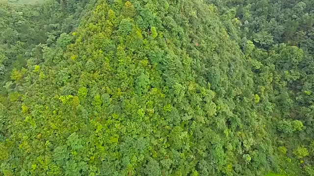 山上的绿树鸟瞰图视频素材