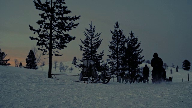 雪橇狗在黎明的雪地上奔跑视频素材