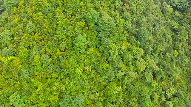 山上的绿树鸟瞰图视频素材