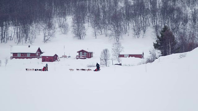 游客在挪威玩狗拉雪橇视频素材