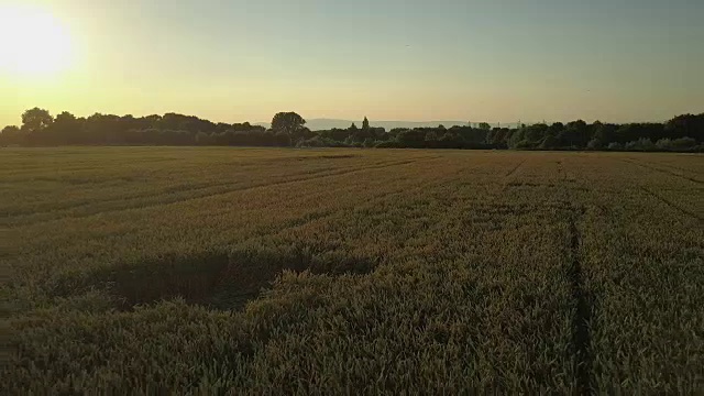 无人机在日落时飞过麦田，背景是城市视频素材