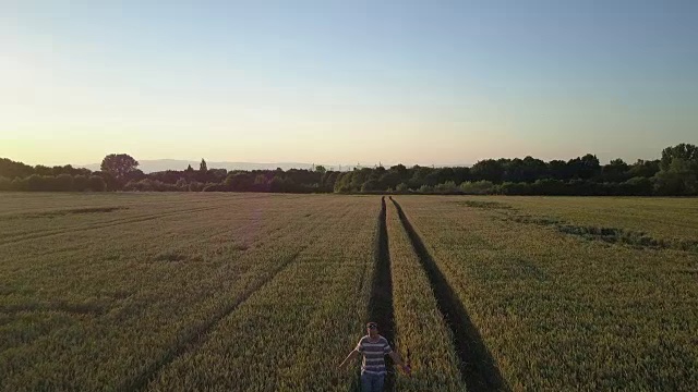 日落时分，一架无人机飞过麦田，后面跟着一个奔跑的成年人，背景是城市视频素材