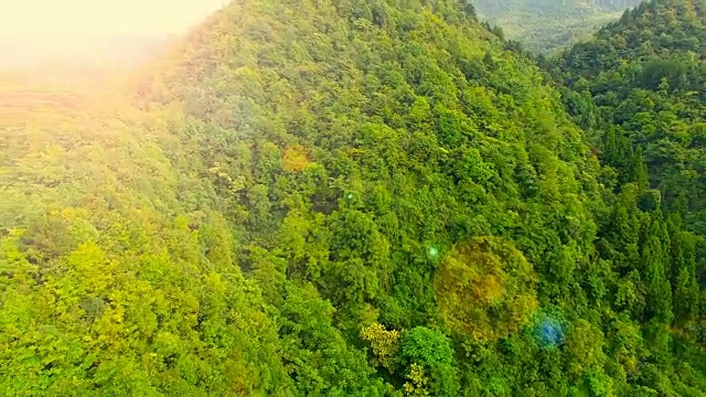 山上的绿树鸟瞰图视频素材