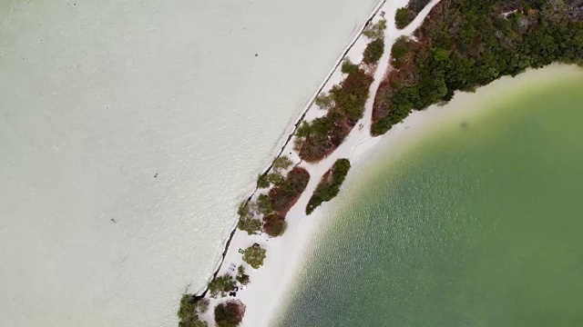 鸟瞰图的蓬可可在Isla Holbox，墨西哥视频素材