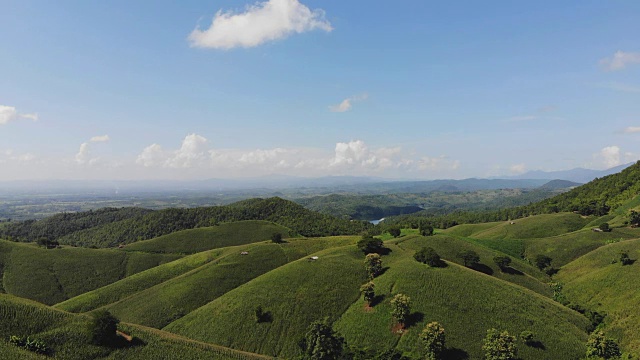 乡村景观，田野里的玉米准备收获的背景山，俯视图从无人机的空中视频。视频素材