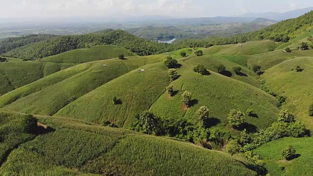 乡村景观，田野里的玉米准备收获的背景山，俯视图从无人机的空中视频。视频素材