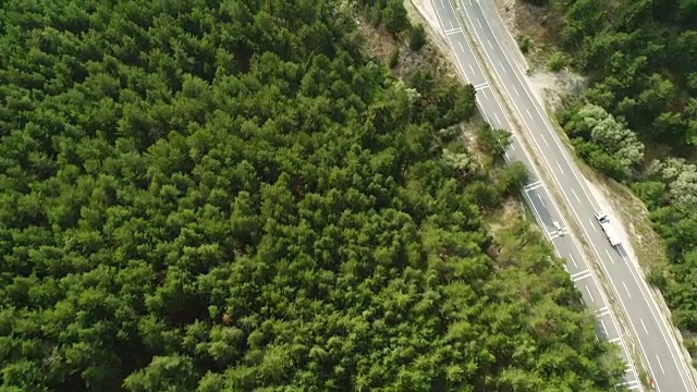 森林中树木之间的公路航拍镜头视频素材