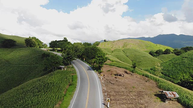 乡村景观，田野里的玉米准备收获的背景山，俯视图从无人机的空中视频。视频素材