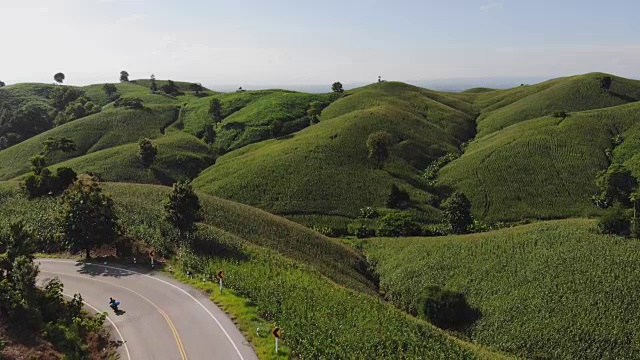 乡村景观，田野里的玉米准备收获的背景山，俯视图从无人机的空中视频。视频素材