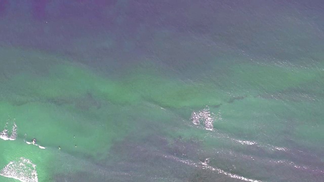 鸟瞰游泳者在浅海海岸碧绿的水与波浪。视频下载