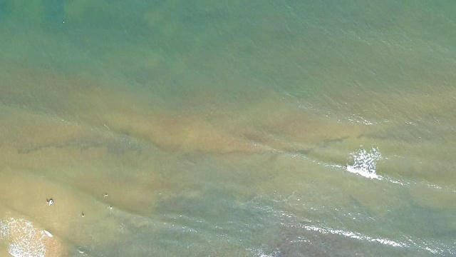 鸟瞰游泳者在浅海海岸碧绿的水与波浪。视频素材