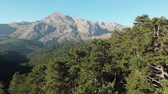 土耳其Yenisarbademli Kizildag国家公园的森林和Melikler高原Dedegol山的景色视频素材