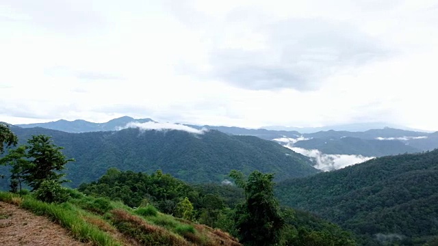 绿化的景观图像雨林山在雾天与蓝天的背景视频素材