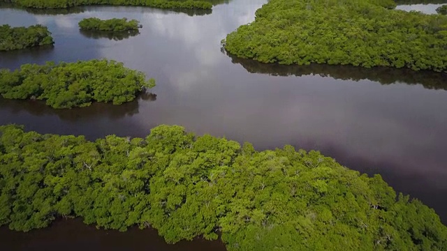 从空中飞过沼泽地，向上倾斜视频素材