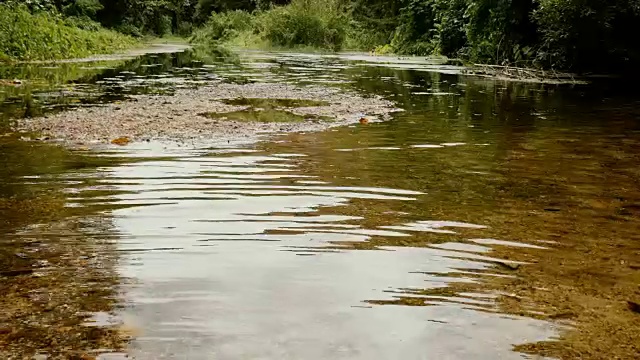 水面清澈，波光粼粼视频素材