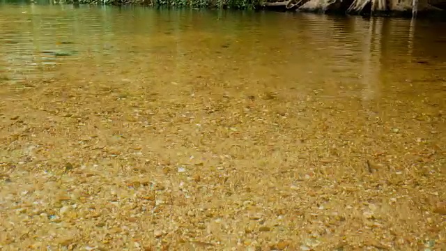 水面清澈，波光粼粼视频素材