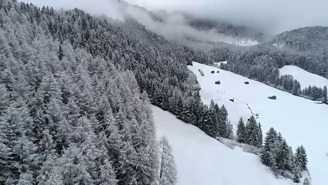 冬天的积雪森林，白云石，意大利视频素材