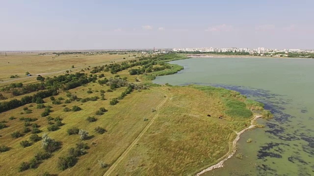 图片:城市附近的湖泊景观视频素材
