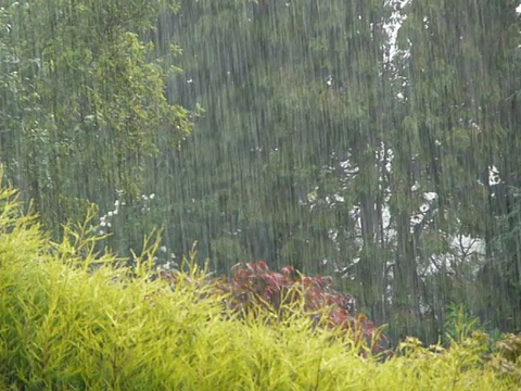 阵雨视频素材