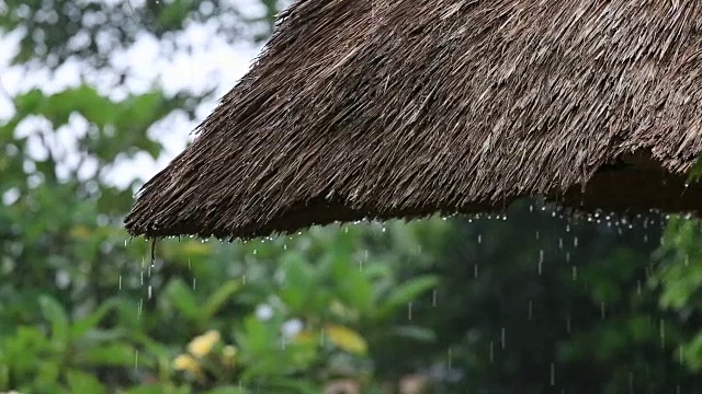 热带夏雨滴落在花园的稻草屋顶上。印尼巴厘岛视频素材