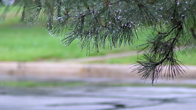 非常强的夏季降雨在道路上形成了小溪。视频素材