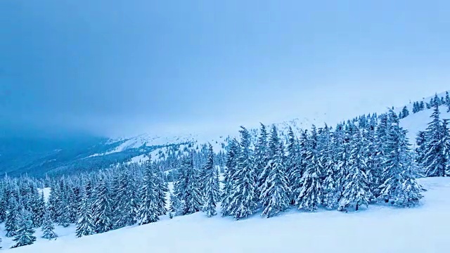 美丽的冬季景观和白雪覆盖的树木。冬天的山。视频素材