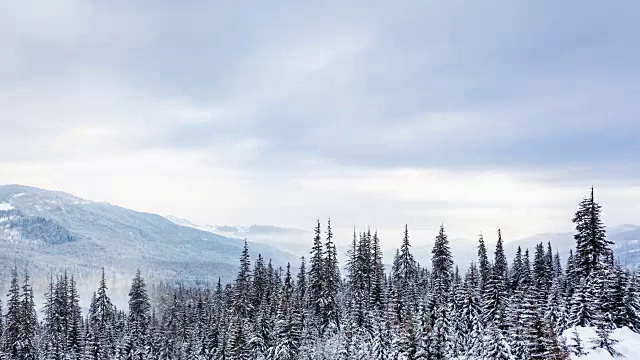 美丽的冬季景观和白雪覆盖的树木。冬天的山。视频素材