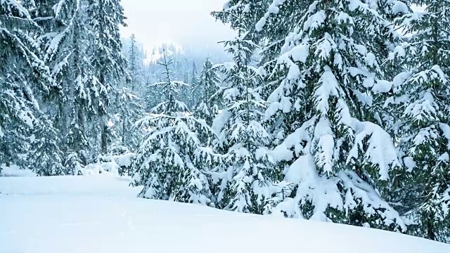 美丽的冬季景观和白雪覆盖的树木。冬天的山。视频素材