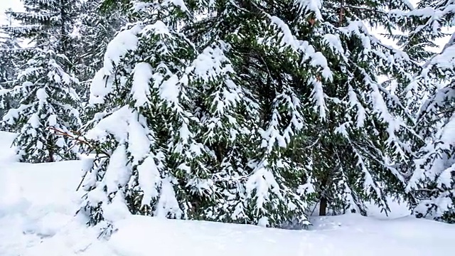 美丽的冬季景观和白雪覆盖的树木。冬天的山。视频素材