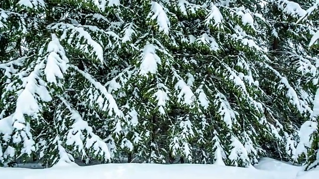 美丽的冬季景观和白雪覆盖的树木。冬天的山。视频素材