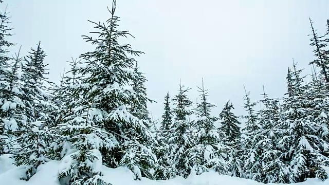 美丽的冬季景观和白雪覆盖的树木。冬天的山。视频素材