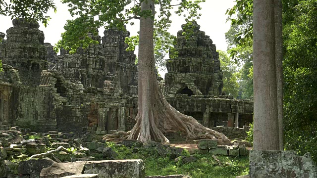 吴哥窟banteay kdei寺热带雨林的倾斜镜头视频素材