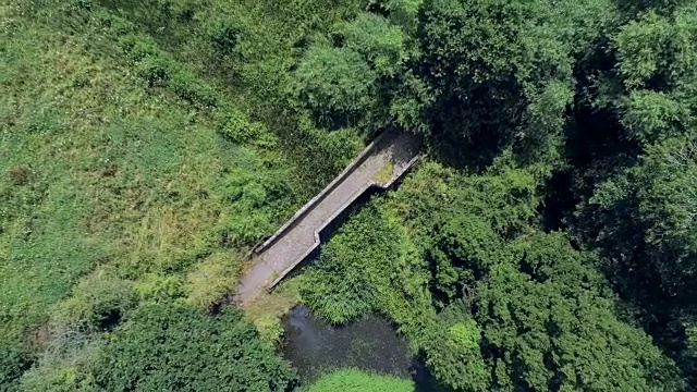 空中和俯视图，向上移动。无人机飞过古老的小砂岩罗马桥和浮萍，杂草丛生的水池塘在英国农村。视频素材