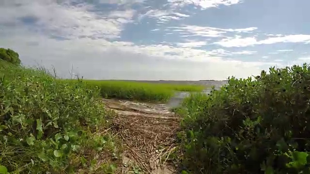 健康的沿海河口视频素材