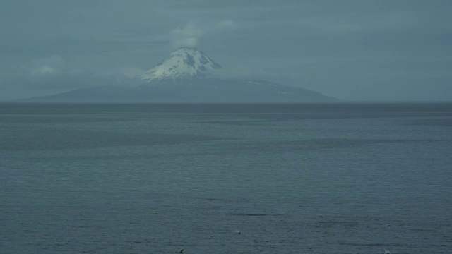 奥古斯丁山，三文鱼跳跃在前景，麦克尼尔河狩猎范围，阿拉斯加，2011年视频素材