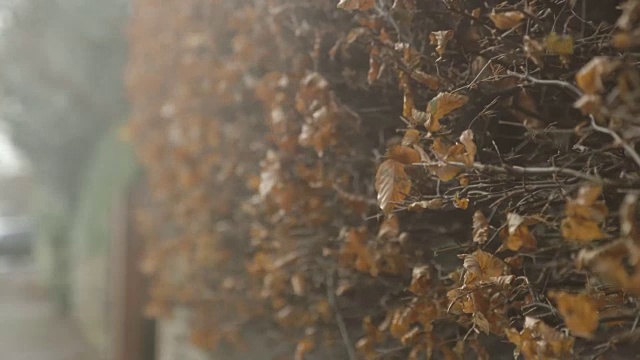 英国北部街道上刮着暴风雨视频下载