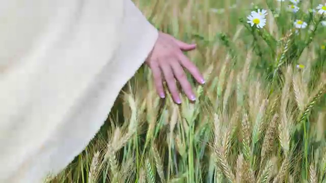 国家，自然，暑假，农业和人的概念-近距离观察年轻妇女的手触摸谷物田的小穗视频素材