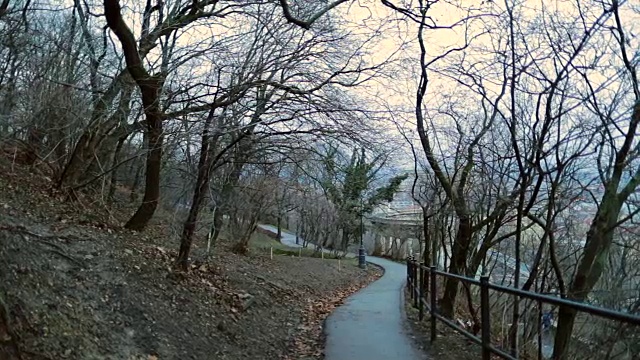 空旷的公园道路，光秃秃的树木和令人毛骨悚然的环境。寒冷的冬季视频素材