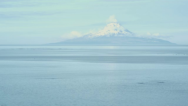 奥古斯丁山，三文鱼跳跃在前景，麦克尼尔河狩猎范围，阿拉斯加，2011年视频素材