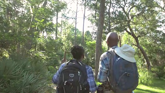 老非裔美国人夫妇在树林里徒步旅行视频素材